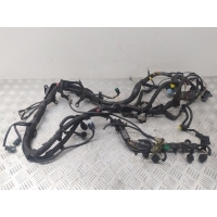 Проводка двигателя Peugeot 5008 (2009-2013) 2010 9687153080