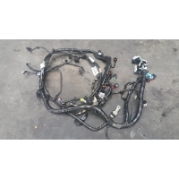 Проводка двигателя Ford C-Max 2009