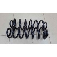 Пружина задняя (к-кт) Volkswagen Passat B6 2005-2010	VW 3C0511115AK