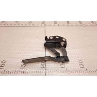 Петля капота левая Volkswagen Passat B6 2005-2010 3C0823301E
