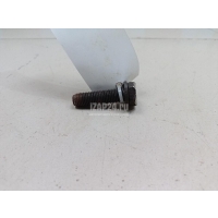 Болт Chrysler Voyager/Caravan (RG/RS) (2000 - 2008) 6504450