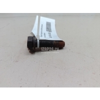 Болт Chrysler Voyager/Caravan (RG/RS) (2000 - 2008) 6504450