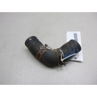 Патрубок 1989 - 2003 1785369G00