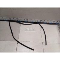 Уплотнитель двери Hyundai-Kia Carnival (1999 - 2005) 0K55258605E