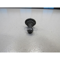 Крепеж газового упора VAG A4 [B6] (2000 - 2004) 2K0827439