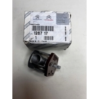 Citroen oe 1267.17