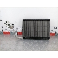 Испаритель кондиционера BMW 3-Series (F30/F31/F34/F35) (2011-2020) 2012 64119229487,64116975553