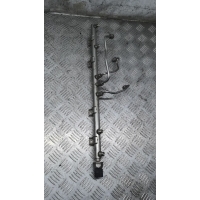 Топливная рампа BMW 7 F01/F02 2013 7560539, 7537319