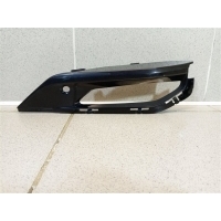 Решетка в бампер правая BMW X7 G07 51118074260