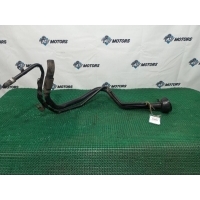 Горловина топливного бака Nissan Skyline V36 2006 17221JK000, 17221JL00A