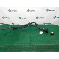 Горловина топливного бака Nissan Elgrand E51 2006 17221WL000