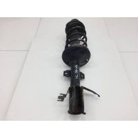 Амортизатор передний Renault Renault Duster 2012> 543026656R, 8660004210
