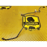Трубка тормозная Nissan Qashqai J11 2018 463164CE1A