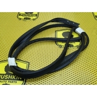 Уплотнитель на дверь Nissan Qashqai J11 2018 808304EA1E
