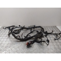Проводка двигателя Ford Fiesta 6 (2008-2013) 2010