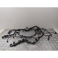 Проводка двигателя Ford Focus II (2005-2011) 2005