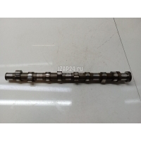Распредвал Ford Fiesta (1995 - 2001) 1089820