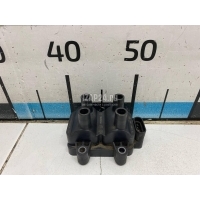 Катушка зажигания Renault Kangoo (2003 - 2008) 224336134R