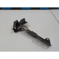 Петля капота правая Hyundai-Kia Sorento (2002 - 2009) 791203E000