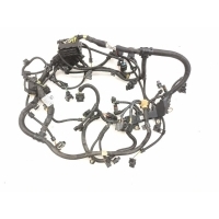 Проводка ДВС BMW 3-Series F30 2012 12517641649, 7619141, 7641649, 750061000F, 750070501C