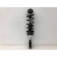 Амортизатор задний Renault Renault Duster 2012> 562103964R, 316290