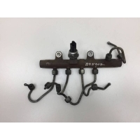 Рейка топливная (рампа) Renault Renault Duster 2012> 8200704212, 8200871609, 8200939500	, 8200871614