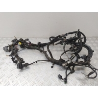 Проводка двигателя Citroen C4 Picasso 2009 9687152280