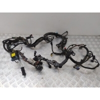 Проводка двигателя Citroen C4 Picasso 2007 9664695780