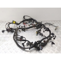 Проводка двигателя Citroen C4 Picasso 2006 9663177980