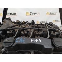 Форсунка Ford Focus II (2005-2011) 2009 0445110239