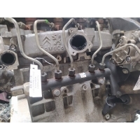 Топливная рампа Ford Fiesta 6 (2008-2013) 2010 9685297580