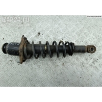 Стойка подвески задняя левая Toyota Corolla Verso 2003 48530-13070