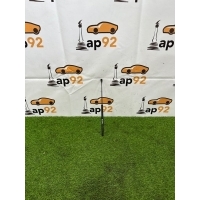 Амортизатор двери багажника Audi A8 D4 2015 4H0827551B