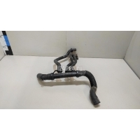Патрубок радиатора Nissan Logan (2005 - 2014) 215304AD0A
