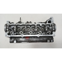 Головка блока Renault Megane II (2003 - 2009) 110412587R