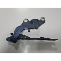 Петля капота правая BMW 1-serie E87/E81 (2004 - 2011) 41617210674