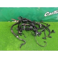 Проводка двигателя Mercedes-Benz Viano W639 2011 A2720103100