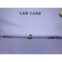 Молдинг двери BMW 5 e60 2004 51217897663, 51217897664, 51217207255, 51217207256