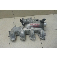 Коллектор впускной Ford Transit/Tourneo Connect (2002 - 2013) 1668578