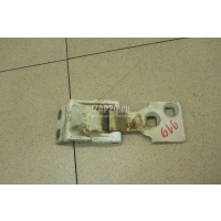 Петля двери багажника Ford Transit/Tourneo Connect (2002 - 2013) 5029591