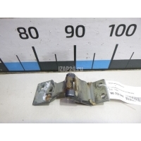 Петля двери багажника Ford Transit/Tourneo Connect (2002 - 2013) 5029591