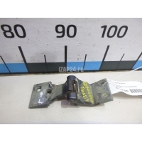 Петля двери багажника Ford Transit/Tourneo Connect (2002 - 2013) 5029591