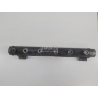 Рейка топливная (рампа) Hyundai-Kia Sportage (2004 - 2010) 3140027400