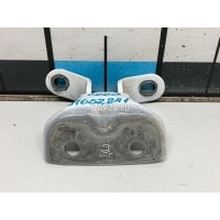 Петля двери Hyundai-Kia Sonata V (NF) (2005 - 2010) 794203K000