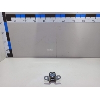 Петля двери Hyundai-Kia Sportage (2004 - 2010) 793102E000