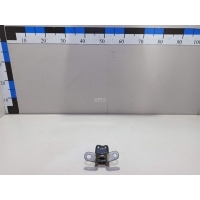 Петля двери Hyundai-Kia Sportage (2004 - 2010) 793202E000