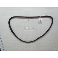 Уплотнитель стекла двери Hyundai-Kia Tucson (2004 - 2010) 871912E001WK