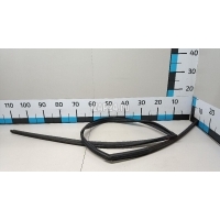 Уплотнитель стекла двери Hyundai-Kia Tucson (2004 - 2010) 825302E000