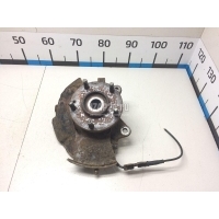 Кулак поворотный передний правый Hyundai-Kia Tucson (2004 - 2010) 517162E300