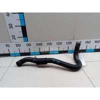 Патрубок радиатора Hyundai-Kia Sportage (2004 - 2010) 254112E101